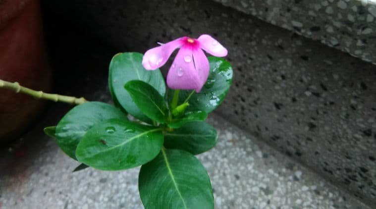 tcl-test-1-759